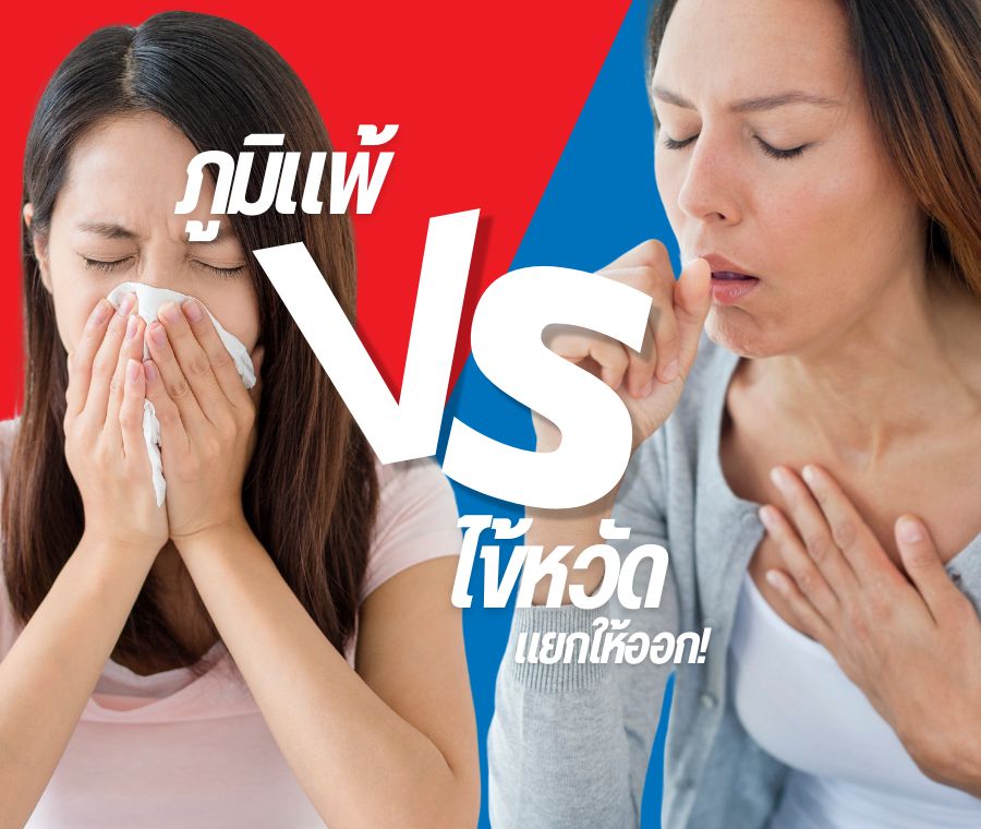 แยกให้ออก! ภูมิแพ้ vs หวัดธรรมดา